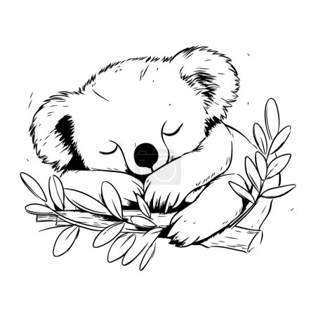 Ilustración de Lindo koala durmiendo en una rama con hojas. Ilustración vectorial. - Imagen libre de derechos