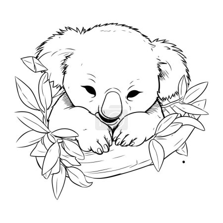 Téléchargez les illustrations : Koala dessin animé ours. Animal zoo mignon vie nature et faune thème Illustration vectorielle - en licence libre de droit