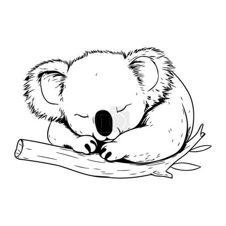 Téléchargez les illustrations : Mignon koala dormant sur une branche d'arbre. Illustration vectorielle. - en licence libre de droit