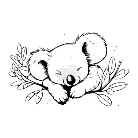 Téléchargez les illustrations : Mignon koala dormant sur une branche. Illustration vectorielle dessinée main - en licence libre de droit
