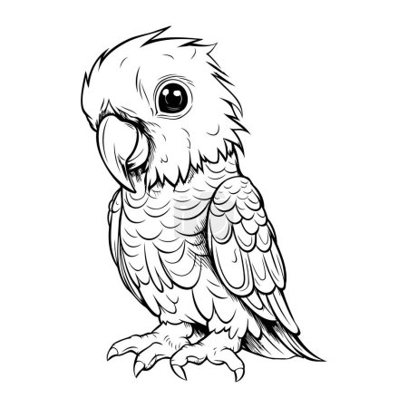 Illustration for Vector image of a parrot on a white background. Hand drawn illustration. - Royalty Free Image