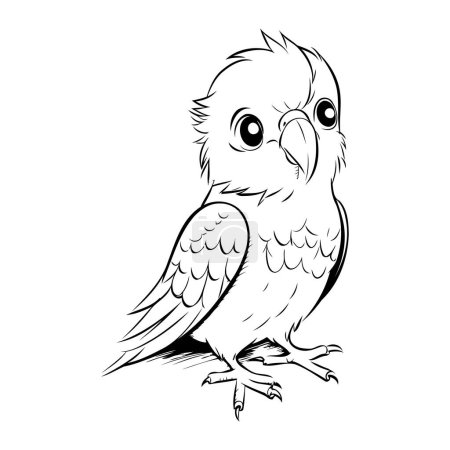 Téléchargez les illustrations : Illustration vectorielle en noir et blanc d'un perroquet sur fond blanc - en licence libre de droit
