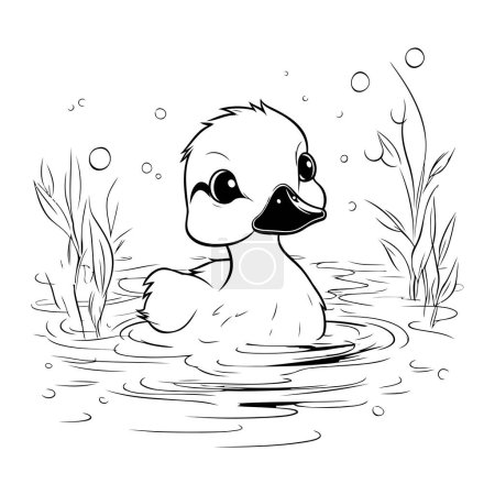 Téléchargez les illustrations : Canard nageant dans le lac. Illustration vectorielle noir et blanc. - en licence libre de droit