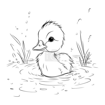 Ilustración de Patinar nadando en el agua. Ilustración vectorial en blanco y negro. - Imagen libre de derechos