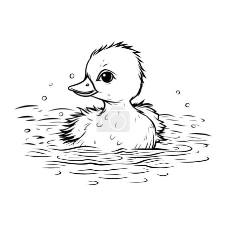 Illustration for Cute duckling swimming in the water. Black and white vector illustration. - Royalty Free Image
