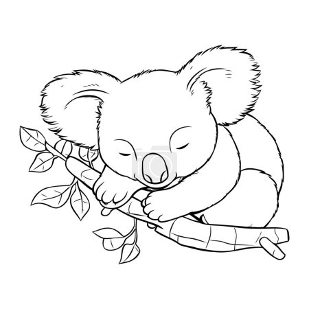 Téléchargez les illustrations : Koala dormant sur la branche d'eucalyptus. Illustration vectorielle dessinée main - en licence libre de droit