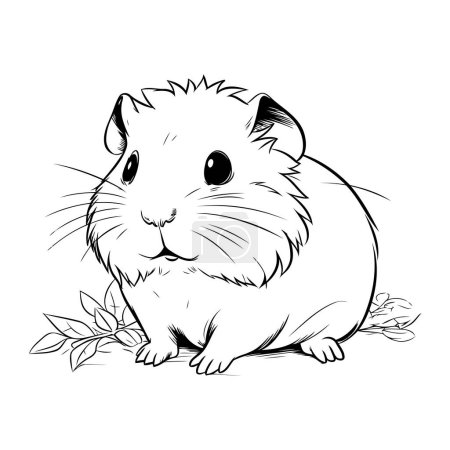 Téléchargez les photos : C'est ça. Illustration vectorielle noir et blanc d'un hamster. - en image libre de droit