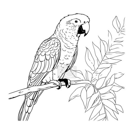 Ilustración de Loro sentado en una rama. Ilustración vectorial dibujada a mano en estilo boceto. - Imagen libre de derechos
