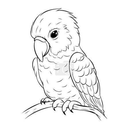 Illustration for Parrot. Coloring book for adults. Black and white vector illustration. - Royalty Free Image