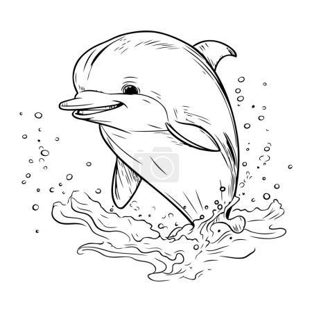 Ilustración de Delfín saltando del agua. Ilustración vectorial dibujada a mano. - Imagen libre de derechos
