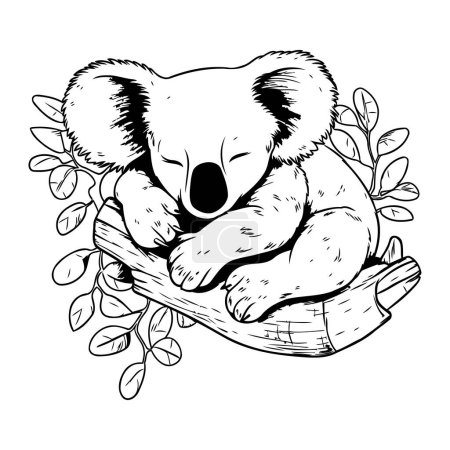 Téléchargez les illustrations : Koala dormant dans un panier en bambou. illustration vectorielle dessinée à la main. - en licence libre de droit