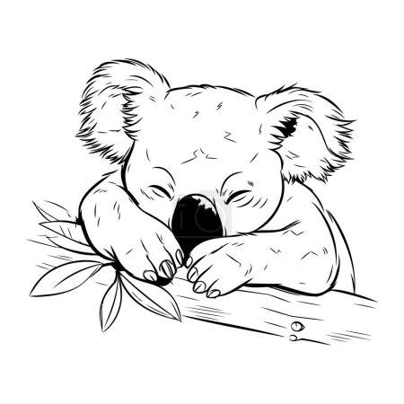 Téléchargez les illustrations : Illustration vectorielle d'un koala dormant sur une branche d'arbre avec des feuilles. - en licence libre de droit