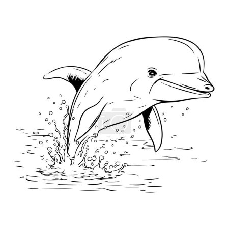 Téléchargez les photos : Un dauphin qui saute de l'eau. Illustration vectorielle noir et blanc. - en image libre de droit