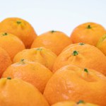 tangerine on a white background. How to choose, store and how much you can eat so as not to harm the body.
