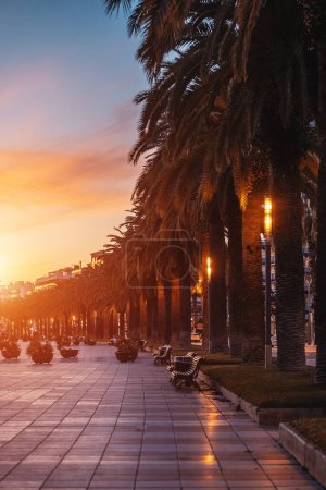 allée de palmiers et coucher de soleil à la belle ville côtière de Salou, rue de la ville tropicale le soir, province de Tarragone, Espagne. Photo de haute qualité