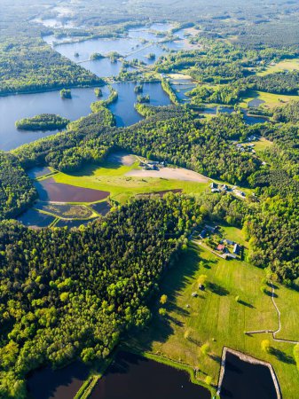 beautiful artificial lake in green forest, serene fishing pond and swamp, fishery and hunting industry, aerial top view, Osowek Poland. High quality photo