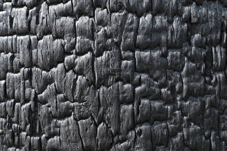 Textura de tabla de madera quemada. Sho Sugi Ban Yakisugi es un método tradicional japonés de conservación de la madera