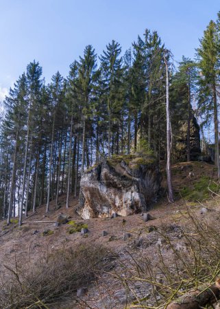 Schöne Landschaft im Nationalpark Sächsische Schweiz. Ein riesiger Stein liegt am Hang einer hohen Kiefer. Deutschland, nahe Dresden