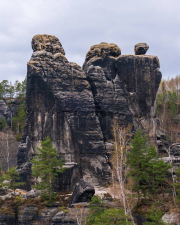 Téléchargez les photos : Incroyables falaises de grès dans le parc national de la Suisse saxonne, Allemagne. - en image libre de droit
