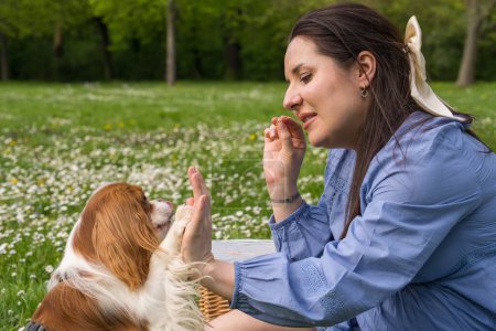 Photo for A happy pregnant woman rejoices while expecting her baby. Spends time in nature. Joyfully having fun with his dog, Cocker Spaniel, Cavalier King Charles Spaniel - Royalty Free Image