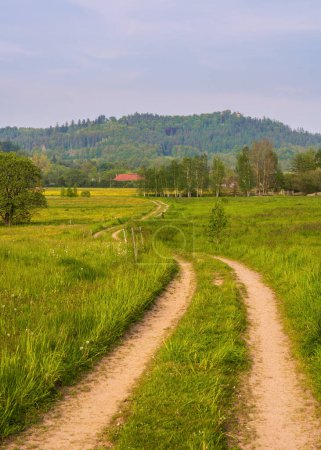 Beautiful nature of agricultural land. A country road among fields with green, lush grass. High mountains on the horizon 