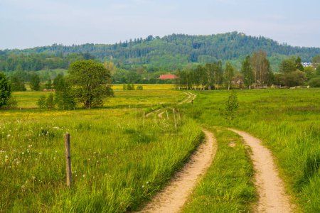 Amazing rural landscape. Village road, green grass in the meadow. High mountains on the horizon. Poland. Karkonosze. Mountain in Krkonose (Karkonose), Poland