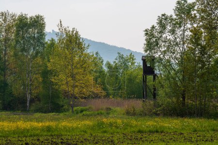 Jagdturm. Jagdturm für Wildschweine und andere Wildtiere auf einem Feld im Wald. 