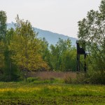 Hunting tower. Hunting tower for wild boar and other wild animals in a field in the forest. 