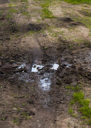 Photo for Wet country road, wheel tracks in the soil. Dirt after rain. - Royalty Free Image
