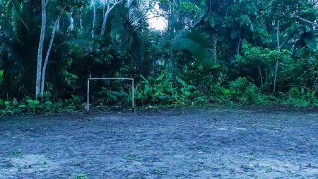 Photo for Football field and goal in the Ecuadorian jungle, near Yasuni National Park. Homemade football field. High quality photo - Royalty Free Image