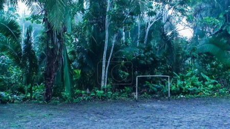 Photo for Football field and goal in the Ecuadorian jungle, near Yasuni National Park. Homemade football field. High quality photo - Royalty Free Image