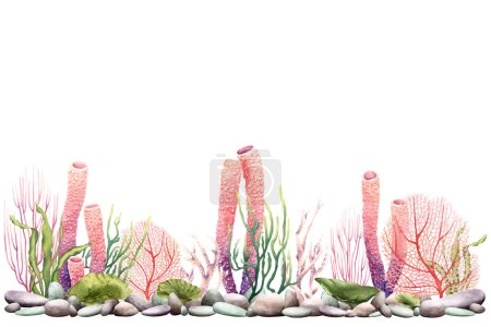 Banner, border with sea plants, pebbles and corals. . Hand drawn watercolor illustration isolated on white background. For invitations, cards, clip art, package