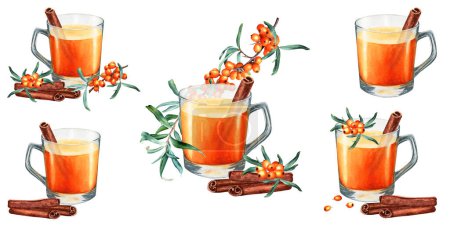Ein Set Sanddornbecher Tee, gerollte Zimtstreifen und Zweige mit Beeren. Handgezeichnete Aquarell-Illustration von Lebensmitteln auf weißem Hintergrund. Für Clip Art, Karten, Menü, Etikett, Verpackung
