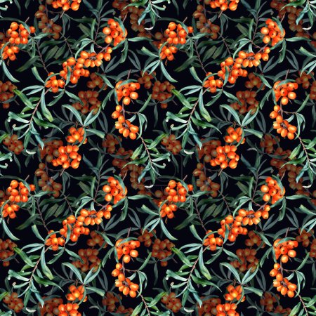 Patrón sin costura con ramas de espino cerval de mar de plantas medicinales. Acuarela dibujada a mano ilustración botánica para envolver, papel pintado, tela, textil.