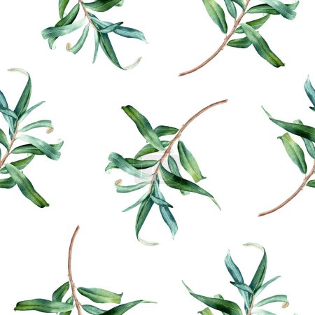 Watercolor botanical seamless pattern with sea buckthorn leaves branches. Hand drawn illustration on isolated background for wrapping, wallpaper, fabric, textile.