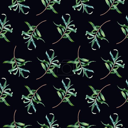 Aquarell nahtloses Muster mit Zweigen aus Sanddornblättern. Handgezeichnetes Muster. Botanische Illustration auf isoliertem Hintergrund für Verpackung, Tapete, Stoff, Textil