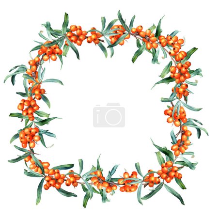 Photo for Watercolor square frame with sea buckthorn branches. Hand drawn botanical illustration isolated on white background. For clip art, cards, invitation, label, package. - Royalty Free Image