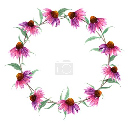Watercolor wreath frame with herb flower Coneflower, Echinacea. Hand drawn botanical watercolor illustration isolated on white background. For greeting card, invitation, clip art, sticker