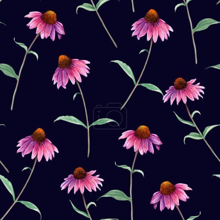 Aquarell nahtloses Muster mit Kräuterblume Sonnenhut, Echinacea. Handgezeichnete botanische Illustration. Für Textilien, Gewebe, Verpackungen, Tapeten