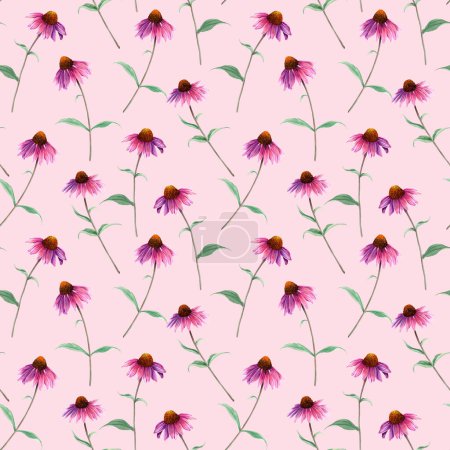 Watercolor repeat seamless pattern with herb flower Coneflower, Echinacea. Hand drawn botanical illustration for textile, fabric, wrapping, wallpaper