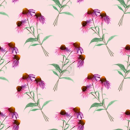 Watercolor seamless pattern with herb flower Coneflower, Echinacea. Hand drawn illustration. For textile, fabric, wrapping, wallpaper