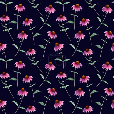 Watercolor repeat seamless pattern with herb flower Coneflower, Echinacea. Hand drawn botanical illustration for textile, fabric, wrapping, wallpaper