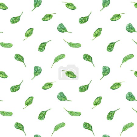 Téléchargez les photos : Aquarelle motif sans couture avec des épinards de la plante à fleurs vert feuillu. Illustration dessinée à la main pour emballage, papier peint, tissu, textile - en image libre de droit