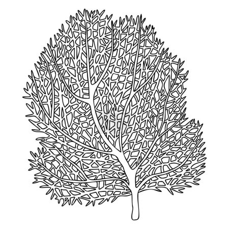 Sea fan , ocean coral reef organizm. Hand drawn vector outline illustration isolated on white background. Graphic black and white sketch style. For clip art, package