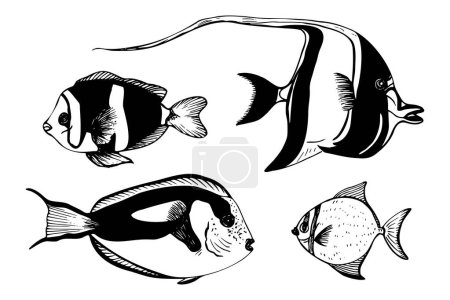 A set of tropical exotic fish. Vector black and white illustration isolated on white background. Graphic sketch style. For clip art, packages, cards.