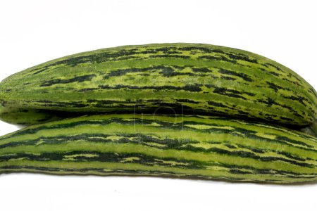 Photo for The Armenian cucumber, Cucumis melo var. flexuosus, a type of long, slender fruit which tastes like cucumber and looks somewhat like a cucumber inside, yard-long cucumber, snake melon, selective focus - Royalty Free Image