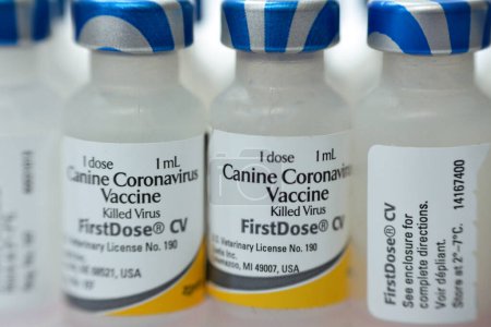 Photo for Cairo, Egypt, December 8 2022: Canine coronavirus vaccine, killed inactivated virus, first dose for dogs, Vanguard plus and also against distemper, adenovirus type 2, parainfluenza, parvovirus viruses - Royalty Free Image