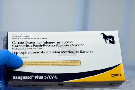 Téléchargez les photos : Le Caire, Égypte, 8 décembre 2022 : Vaccin contre le coronavirus canin, virus inactivé tué, première dose pour chiens, Vanguard plus et aussi contre la maladie de Carré, adénovirus de type 2, parainfluenza, virus parvovirus - en image libre de droit