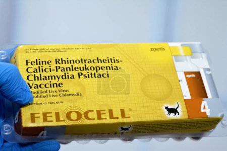Foto de El Cairo, Egipto, 8 de diciembre de 2022: Felocell 4, cepas vivas atenuadas modificadas vacuna contra el virus de la rinotraqueítis felina, calicivirus, panleucopenia (cepa Johnson Snow Leopard) y clamidia psittaci - Imagen libre de derechos