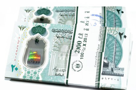 Photo for New Egyptian 20 EGP LE twenty polymer pounds cash money banknote bill features Mohamed Ali Mosque, adorned with tactile ADA Braille dots, queen Cleopatra, Great Pyramid and pharaonic military chariot - Royalty Free Image